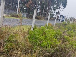  Land for sale in Cevallos, Tungurahua, Cevallos, Cevallos