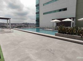 3 Bedroom Apartment for rent in Guayas, Guayaquil, Guayaquil, Guayas