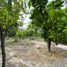 5 Bedroom House for sale in Chile, Calle Larga, Los Andes, Valparaiso, Chile