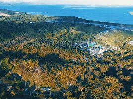  Land for sale in Puerto Princesa City, Mimaropa, Puerto Princesa City, Palawan, Mimaropa