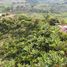 3 Bedroom House for sale in Risaralda, Caldas, Risaralda