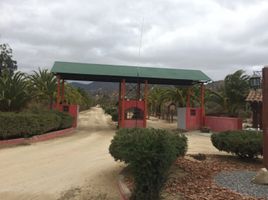  Terreno (Parcela) en venta en Santiago, Maria Pinto, Melipilla, Santiago