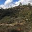 Terreno (Parcela) en venta en Santiago, Maria Pinto, Melipilla, Santiago