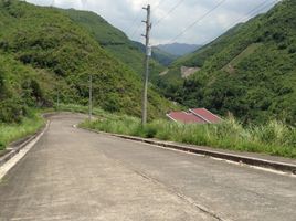  Land for sale in Talisay City, Cebu, Talisay City