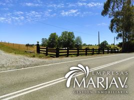  Land for sale in Chile, Villarrica, Cautin, Araucania, Chile