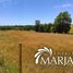  Land for sale in Chile, Villarrica, Cautin, Araucania, Chile