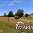 Land for sale in Chile, Villarrica, Cautin, Araucania, Chile