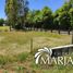  Land for sale in Chile, Villarrica, Cautin, Araucania, Chile