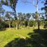  Land for sale in Batang Kali, Selangor, Batang Kali, Ulu Selangor