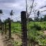  Grundstück zu verkaufen in Liloan, Central Visayas, Liloan