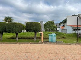  Terreno (Parcela) en venta en Huitzilac, Morelos, Huitzilac