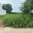  Land for sale in Bulacan, Central Luzon, Malolos City, Bulacan