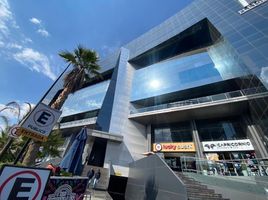 42 平米 Office for rent in Hidalgo, San Agustin Tlaxiaca, Hidalgo