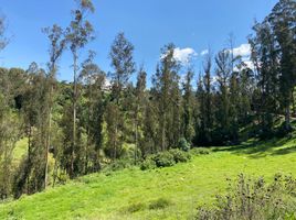  Terrain for sale in Yaruqui, Quito, Yaruqui