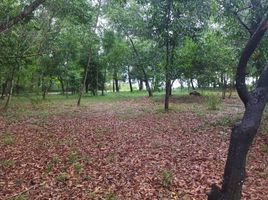  Terrain for sale in Damansara, Petaling, Damansara