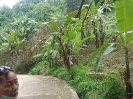  Land for sale in Yap-Sandiego Ancestral House, Cebu City, Cebu City