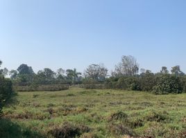  Terreno (Parcela) en venta en El Carmen, Chincha, El Carmen