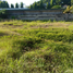  Terreno (Parcela) en venta en Lapu-Lapu City, Central Visayas, Lapu-Lapu City, Cebu