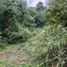  Land for sale in Allende, Nuevo Leon, Allende
