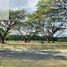  Terreno (Parcela) en venta en Calamba City, Calabarzon, Calamba City, Laguna, Calabarzon, Filipinas