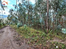  Terrain for sale in Imbabura, Otavalo, Otavalo, Imbabura