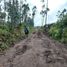  Terrain for sale in Imbabura, Otavalo, Otavalo, Imbabura