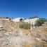  Land for sale in Hermosillo, Sonora, Hermosillo