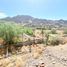  Land for sale in Hermosillo, Sonora, Hermosillo