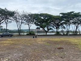  Land for sale in Daule, Guayas, Daule, Daule