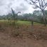  Land for sale in Jamapa, Veracruz, Jamapa