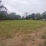  Land for sale in Jamapa, Veracruz, Jamapa