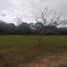  Land for sale in Jamapa, Veracruz, Jamapa