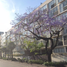 3 Bedroom Condo for sale in Miguel Hidalgo, Mexico City, Miguel Hidalgo