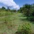  Grundstück zu verkaufen in San Remigio, Central Visayas, San Remigio