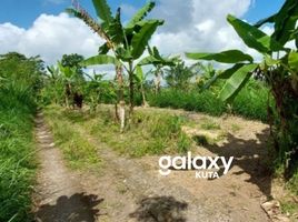  Tanah for sale in Petang, Badung, Petang