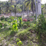  Land for sale in Surigao del Norte, Caraga, Burgos, Surigao del Norte