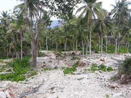  Land for sale in Burgos, Surigao del Norte, Burgos