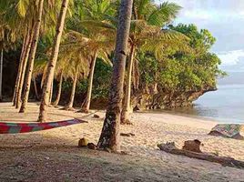  Land for sale in Surigao del Norte, Caraga, Socorro, Surigao del Norte