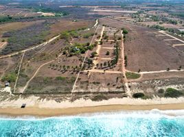  Terreno (Parcela) en venta en Dist Pochutla, Oaxaca, Dist Pochutla