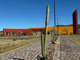  Grundstück zu verkaufen in Allende, Guanajuato, Allende