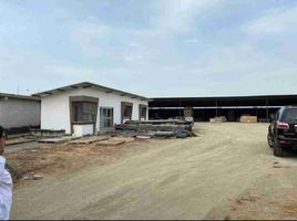  Land for sale in Daule, Guayas, Daule, Daule