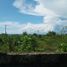  Terreno (Parcela) en venta en Lapu-Lapu City, Central Visayas, Lapu-Lapu City