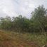  Land for sale in Dauis, Bohol, Dauis