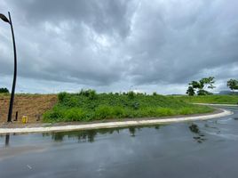  Land for sale in Calamba City, Calabarzon, Calamba City