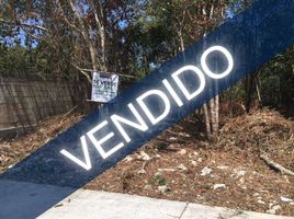 Terreno (Parcela) en venta en Cozumel, Quintana Roo, Cozumel