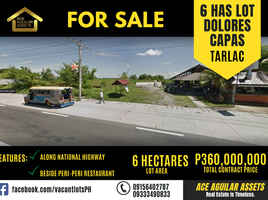  Land for sale in Capas, Tarlac, Capas