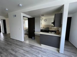 2 Schlafzimmer Appartement zu verkaufen in Miguel Hidalgo, Mexico City, Miguel Hidalgo