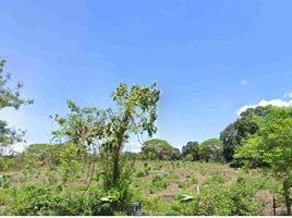  Land for sale in Cavite, Calabarzon, Dasmarinas City, Cavite