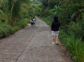  Grundstück zu verkaufen in Cebu, Central Visayas, Cebu City