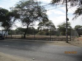 Grundstück zu verkaufen in Piura, Piura, Piura, Piura, Piura